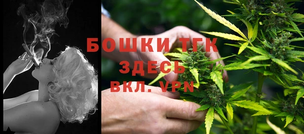 амф Арсеньев