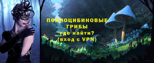 метадон Армянск