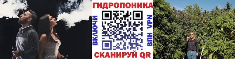 Бошки марихуана OG Kush  Нея 